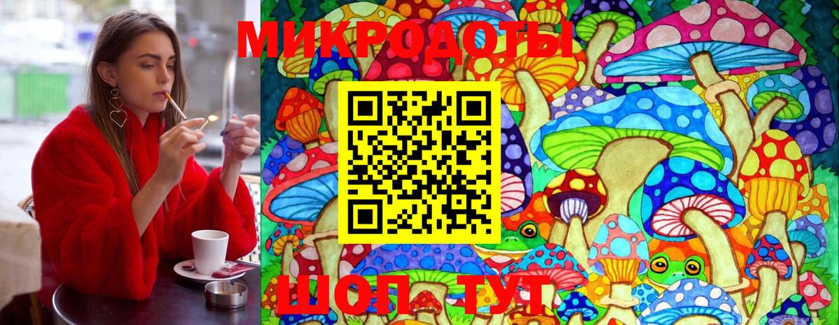 Псилоцибиновые грибы Psilocybe  Вход с VPN  Чебоксары 
