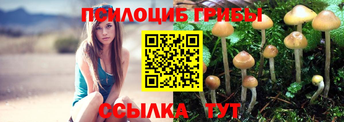 Галлюциногенные грибы прущие грибы Чебоксары